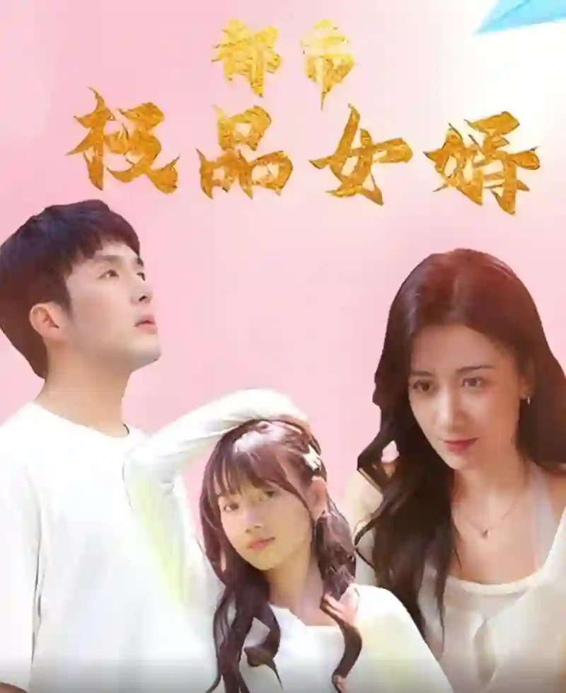 都市极品女婿(都市逍遥女婿)